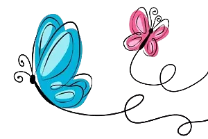 papillon_fond_blanc-removebg-preview